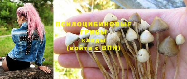 спайс Балахна